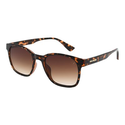 Óculos de Sol Masculino Chilli Beans Bossa Nova Tartaruga